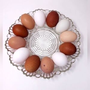 Vintage Anchor Hocking Fire King Deviled Egg Dish